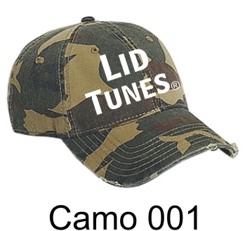 Lid Tunes Camo 01 Cap